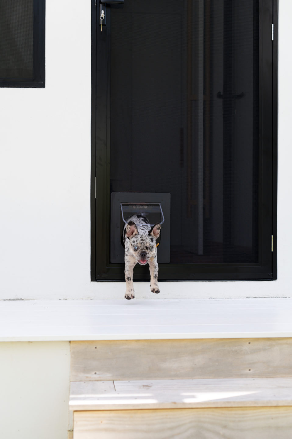 Security screen door with pet clearance flap